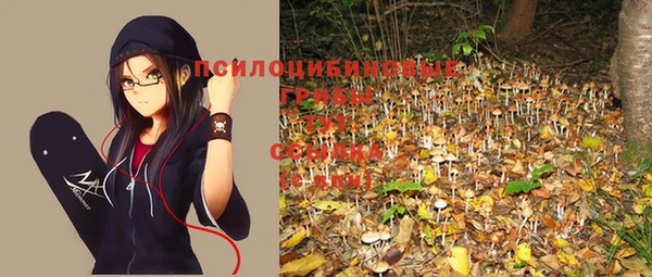 ГАЛЛЮЦИНОГЕННЫЕ ГРИБЫ Няндома