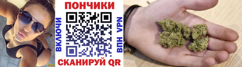 где можно купить   Тбилисская  Канабис индика 